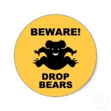 drop_bears__america_x_aussie_m_reader__by_crazyanimeguy-d8su9up